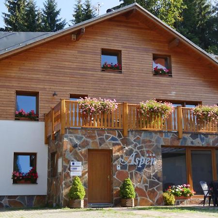 Pension Aspen Harrachov Eksteriør bilde