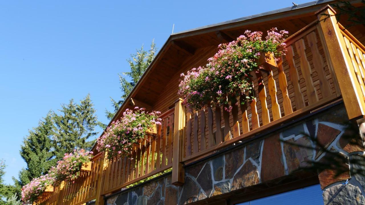 Pension Aspen Harrachov Eksteriør bilde